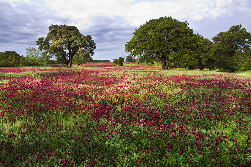 IMAGE: http://kimberlydawn.net/POTN/IMG_0003.jpg