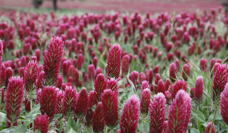 IMAGE: http://kimberlydawn.net/POTN/IMG_0024.jpg