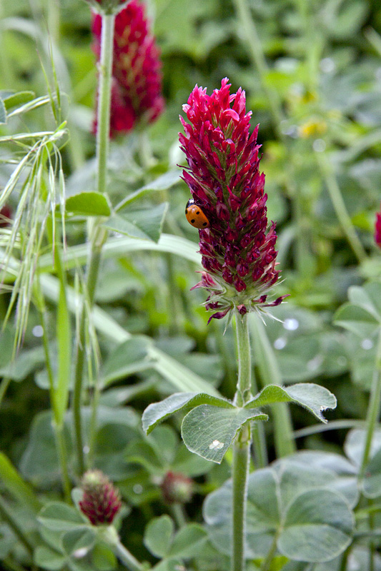 IMAGE: http://kimberlydawn.net/POTN/IMG_0028.jpg