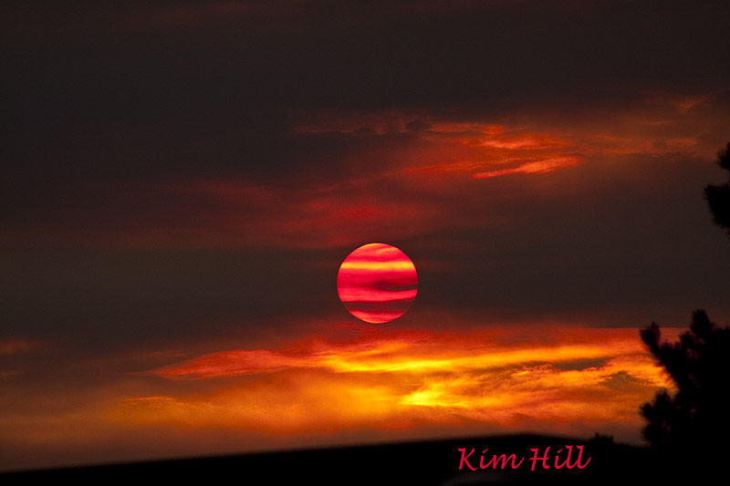 IMAGE: http://kimberlydawn.net/POTN/IMG_0335.jpg