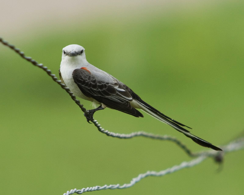 IMAGE: http://kimberlydawn.net/POTN/IMG_3943-2.jpg